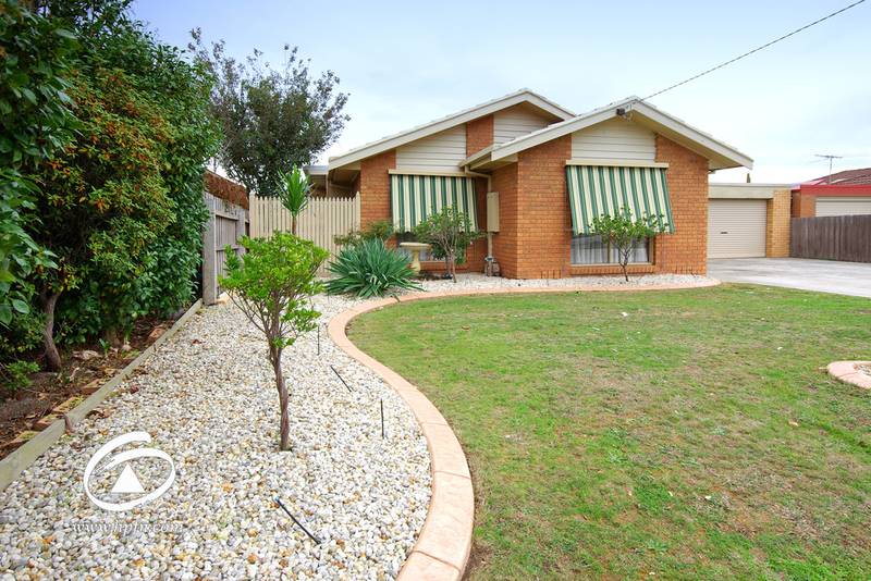 STEP INSIDE AND DISCOVER Picture 2