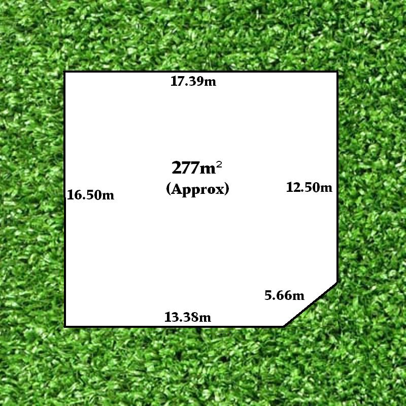 DREAMS CAN BE REALISED Picture 1