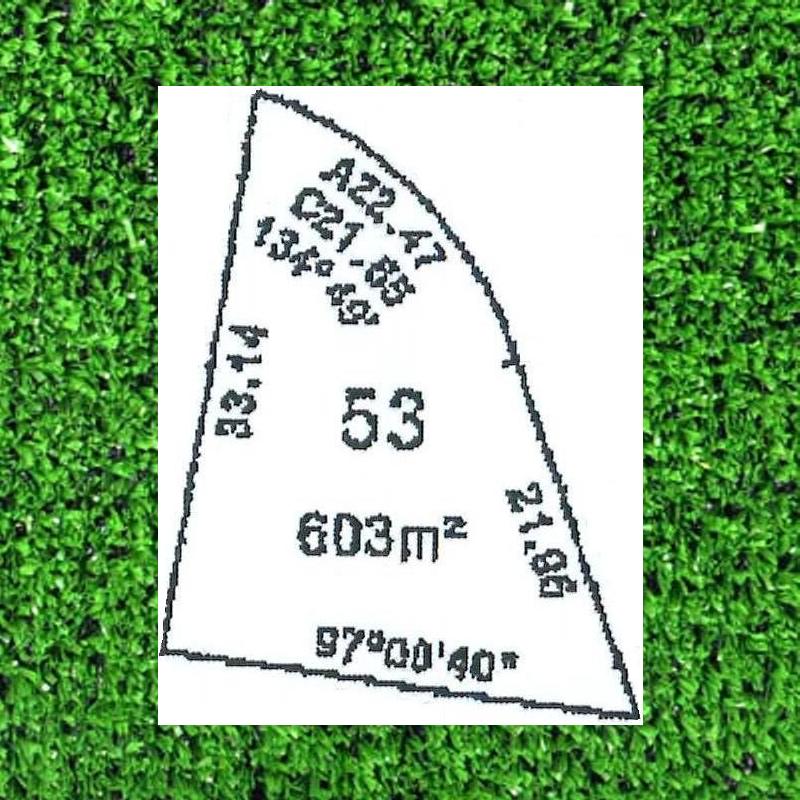 DREAMS DO COME TRUE. . . . . . . Picture 1