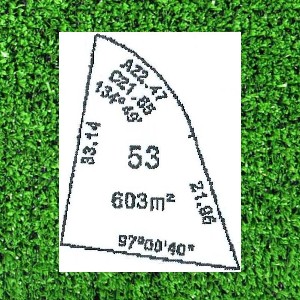 DREAMS DO COME TRUE. . . . . . . Picture