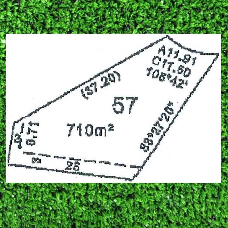 DREAMS DO COME TRUE. . . . . . . Picture 1