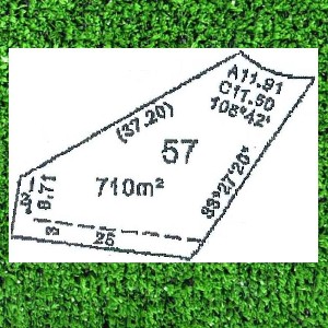 DREAMS DO COME TRUE. . . . . . . Picture