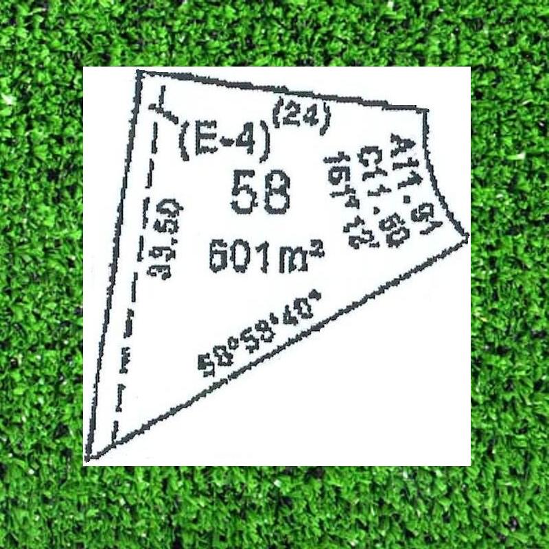 DREAMS DO COME TRUE. . . . . . . Picture 1