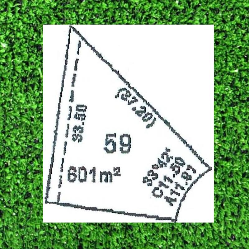 DREAMS DO COME TRUE. . . . . . . Picture 1