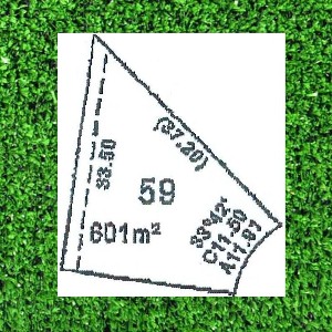 DREAMS DO COME TRUE. . . . . . . Picture