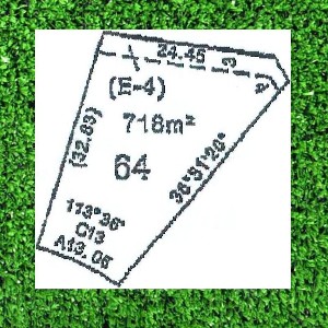 DREAMS DO COME TRUE. . . . . . . Picture