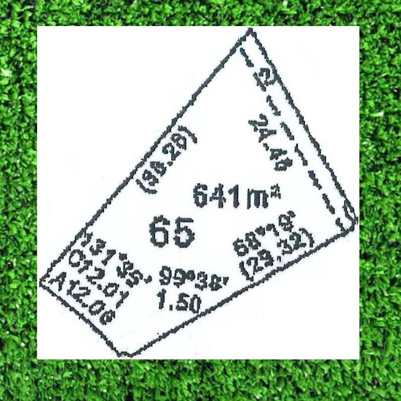 DREAMS DO COME TRUE. . . . . . . Picture 1