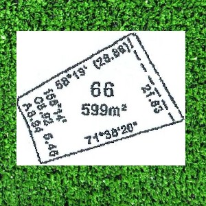 DREAMS DO COME TRUE. . . . . . . Picture