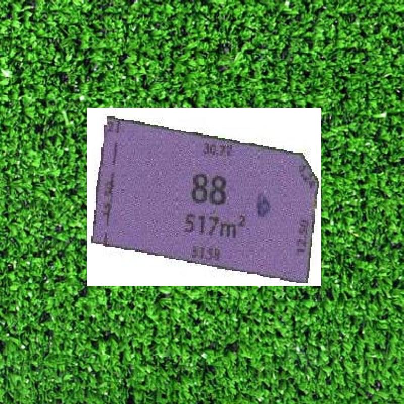 Dreams Unlimited....... Sandarra! Picture 1