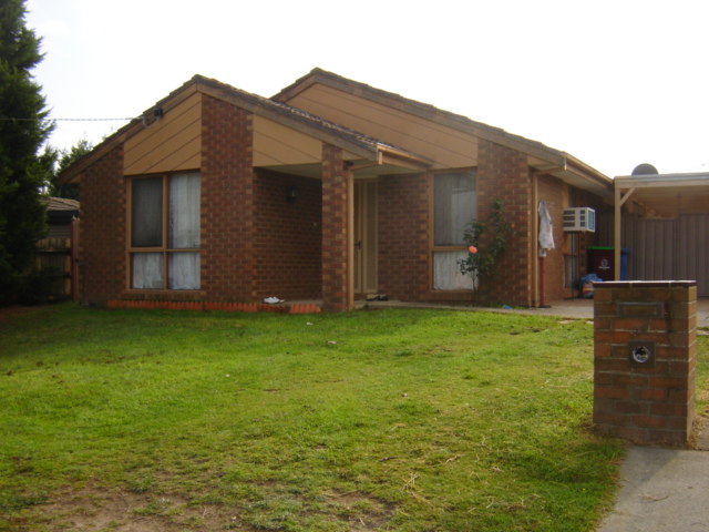 KING OF THE COURT Picture 1