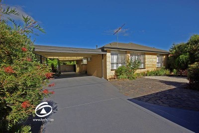 EXPLORE THE DELIGHTS Picture