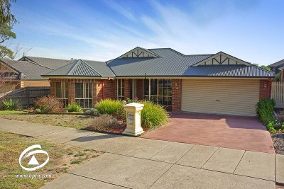 Just Unpack & Enjoy Picture