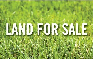 LAND AVAILABLE IN LYNBROOK Picture 1