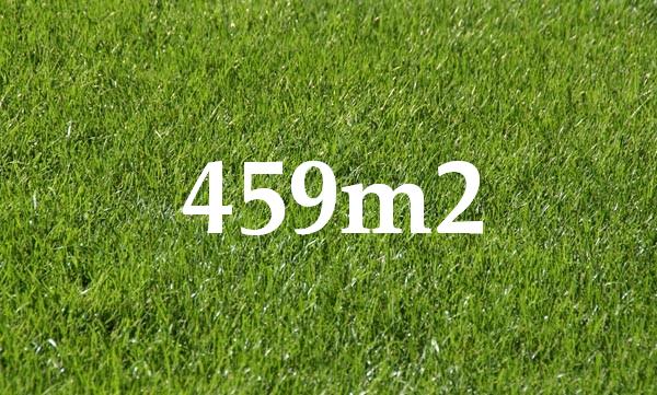 Opportunity Knocks Picture 1