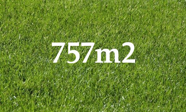 Opportunity Knocks Picture 1