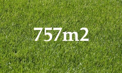 Opportunity Knocks Picture