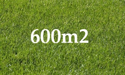 OPPORTUNITY KNOCKS Picture OPPORTUNITY KNOCKS Picture