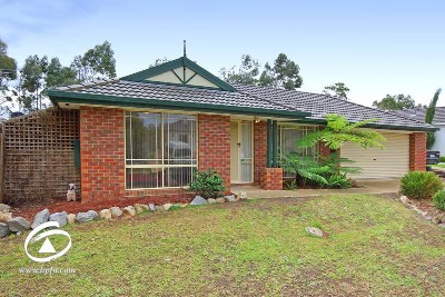 PICTURE PERFECT Picture PICTURE PERFECT Picture