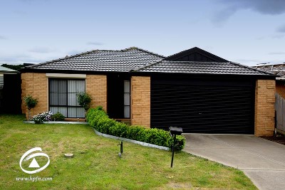 TOO GOOD TO MISS Picture TOO GOOD TO MISS Picture