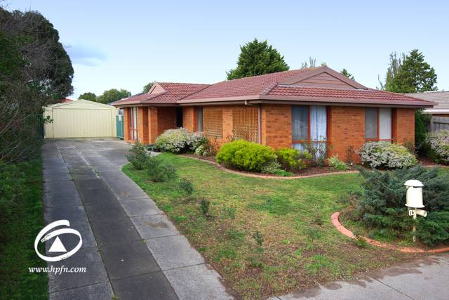 FAMILY NEEDED, ENQUIRE TODAY** UNDER APPLICATION** Picture 1