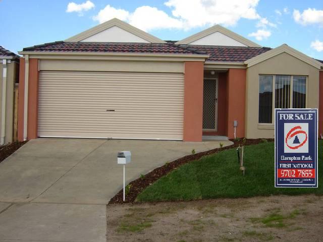 Nest or Invest Picture 1