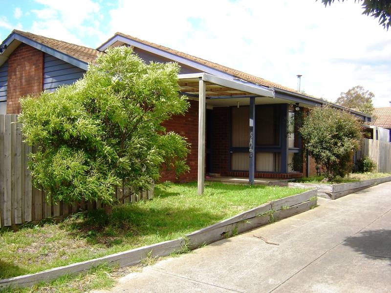 Starting up or Just Investing Picture 1