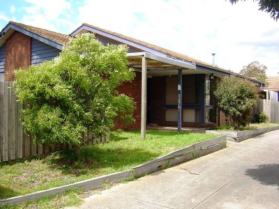 Starting up or Just Investing Picture