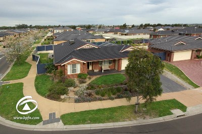 Bark it out Loud Picture