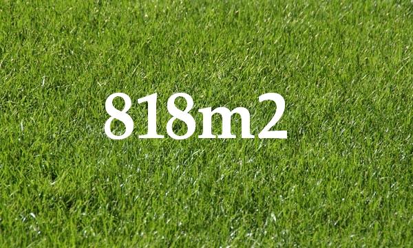 Rare opportunity Picture 1