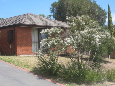 CLOSE TO SCHOOLS, SHOPS & TRANSPORT Picture CLOSE TO SCHOOLS, SHOPS & TRANSPORT Picture