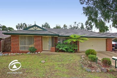 PICTURE PERFECT Picture PICTURE PERFECT Picture