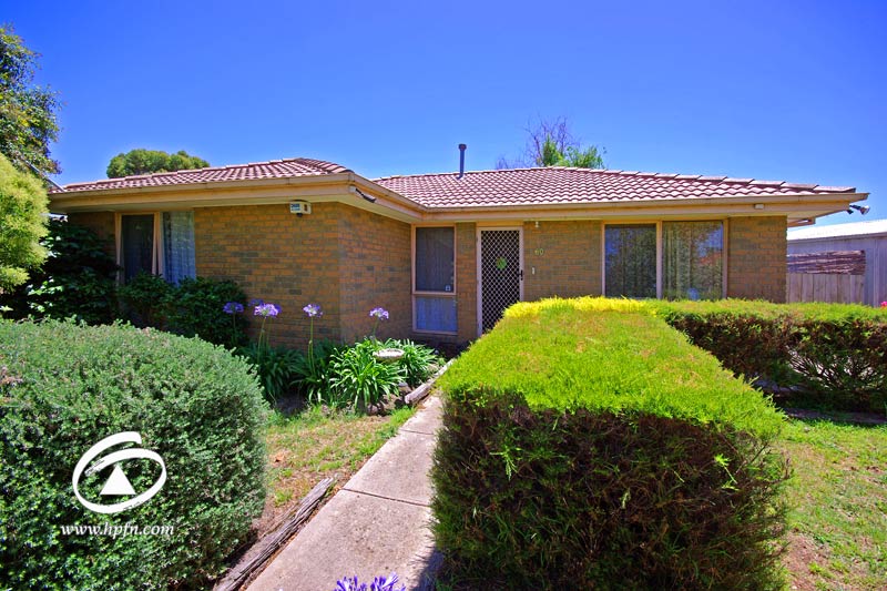 PERFECT STARTER Picture 1