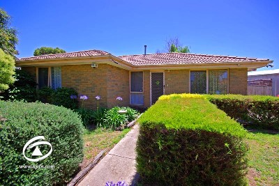 PERFECT STARTER Picture