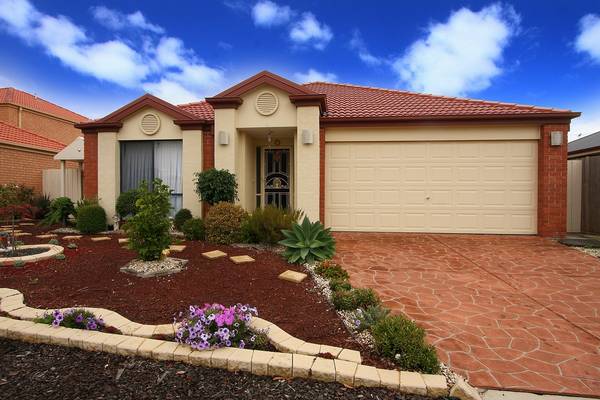 Family Lifestyle Picture 1