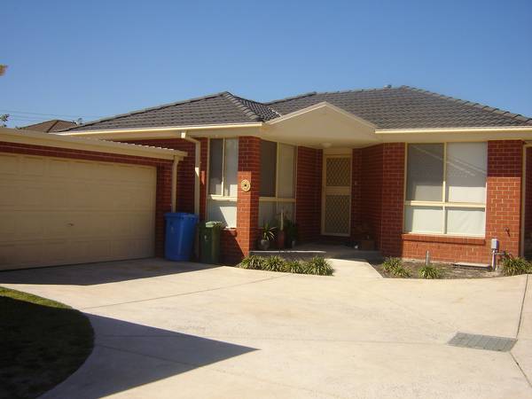 IMMACULATE UNIT Picture 1