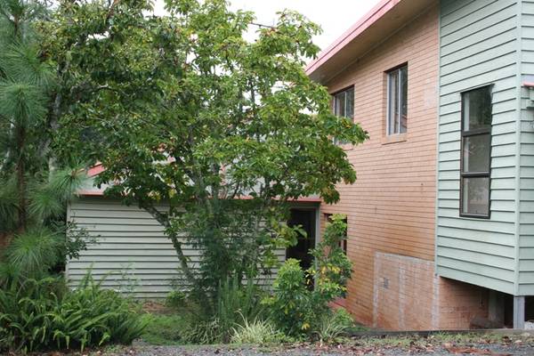 Work from Home Picture 3