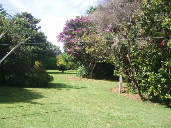 Great Position Picture 2