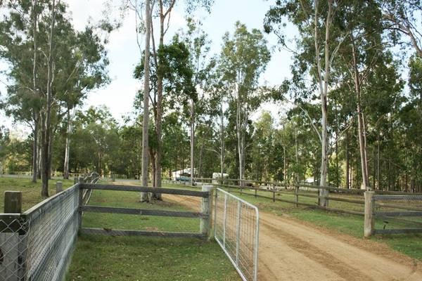 MODERN HOME ON 5 ACRES - GREAT HORSE COUNTRY Picture 3