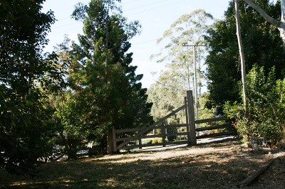 WELL PRICED 1/2 ACRE LEVEL BLOCK ON MOUNT TAMBORINE - ZONED RESIDENTIAL/ VILLAGE RESIDENTIAL Picture