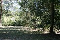WELL PRICED 1/2 ACRE LEVEL BLOCK ON MOUNT TAMBORINE - ZONED RESIDENTIAL/ VILLAGE RESIDENTIAL Picture WELL PRICED 1/2 ACRE LEVEL BLOCK ON MOUNT TAMBORINE - ZONED RESIDENTIAL/ VILLAGE RESIDENTIAL Picture
