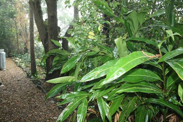 A TOUCH OF TOORAK IN OLD EAGLE HEIGHTS Picture 2