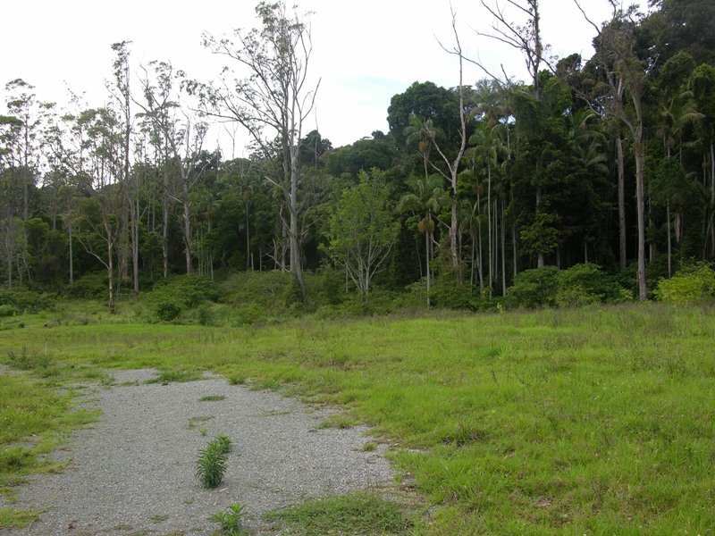 27 ACRE HIDEAWAY Picture 2