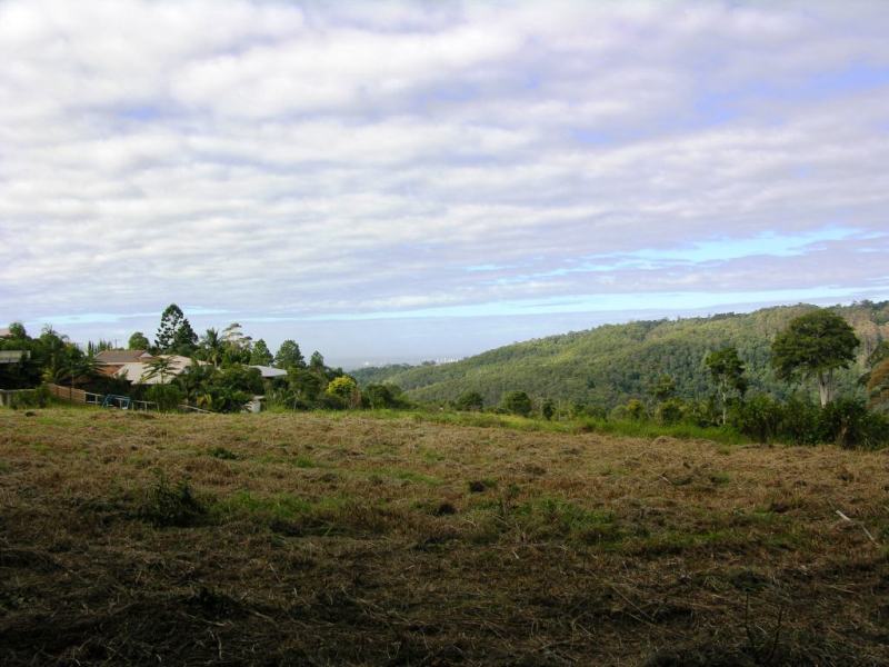 7.8 ACRES OF PRISTINE PRIVACY Picture 3