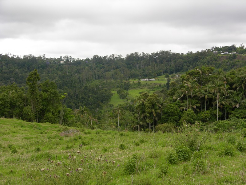 7.8 ACRES OF PRISTINE PRIVACY Picture 1