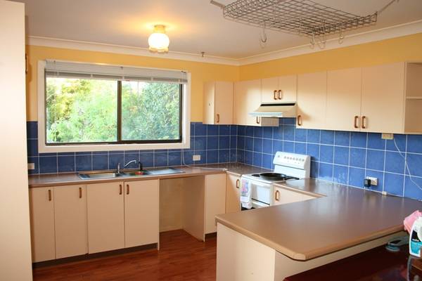 MASSIVE POTENTIAL IN MOUNT TAMBORINE- UNDER CONRACT! Picture 3