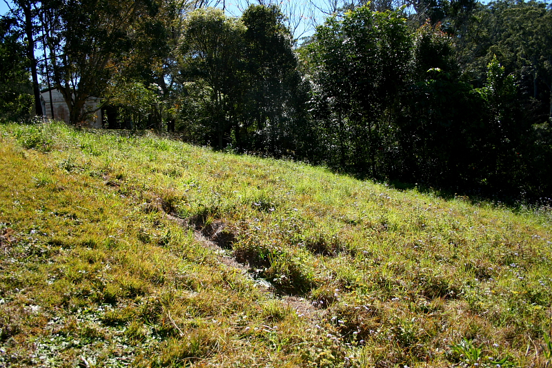 Great Block!
Great Price! (price reduced, must be sold) Picture 3