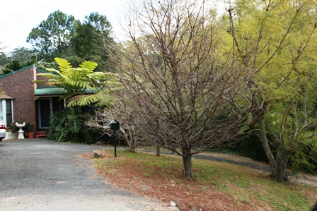 Great Value Picture 2