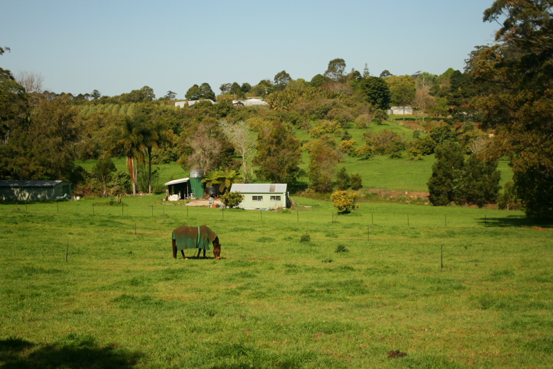 QUALITY ACREAGE! Picture 1