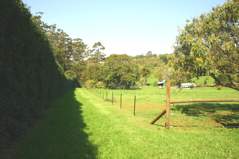 QUALITY ACREAGE! Picture 2