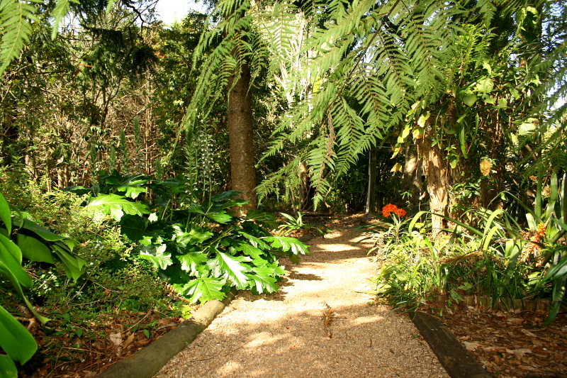 Business for Sale - Wake Up and Smell the Coffee! Picture 3